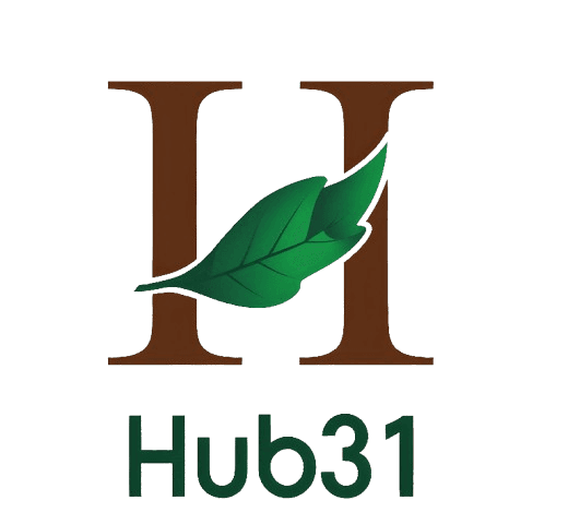 Hub31